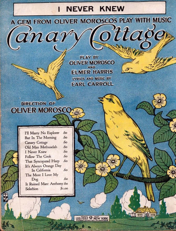 2595 Canary Cottage